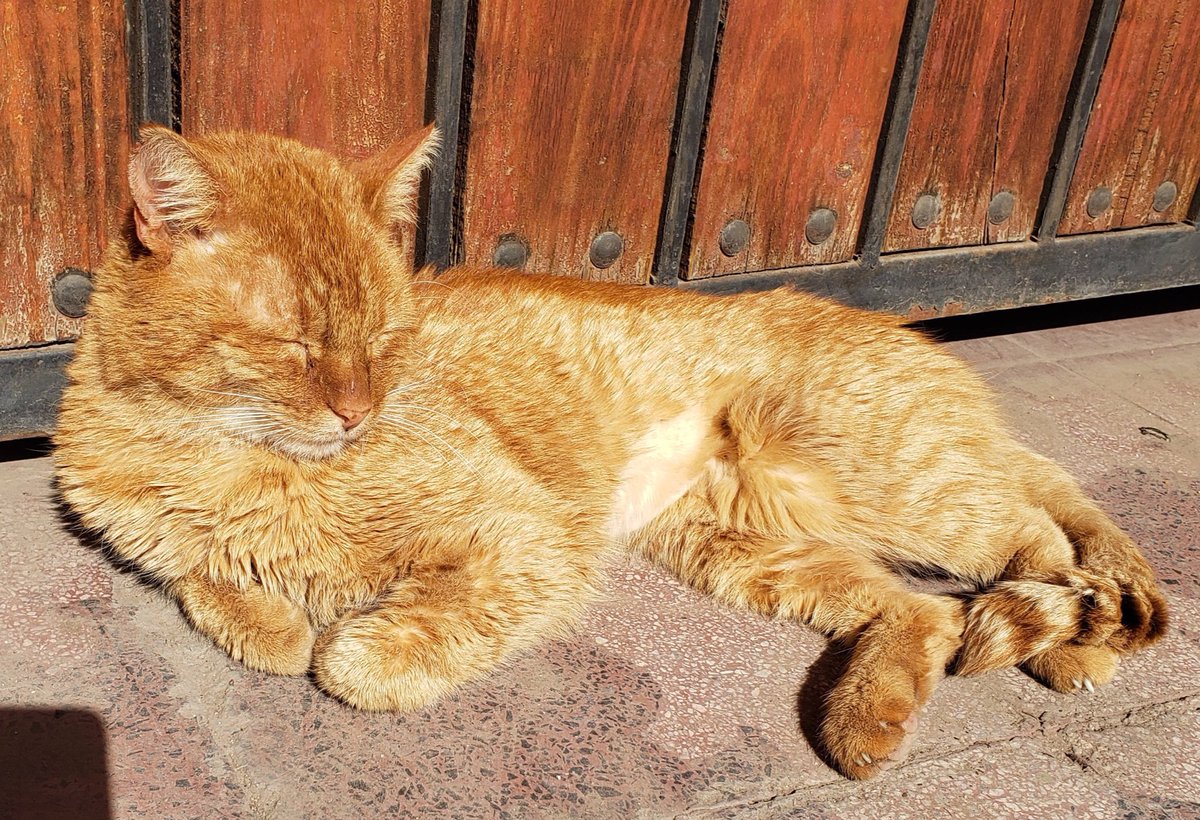 Low Gr🅰️v tweet media