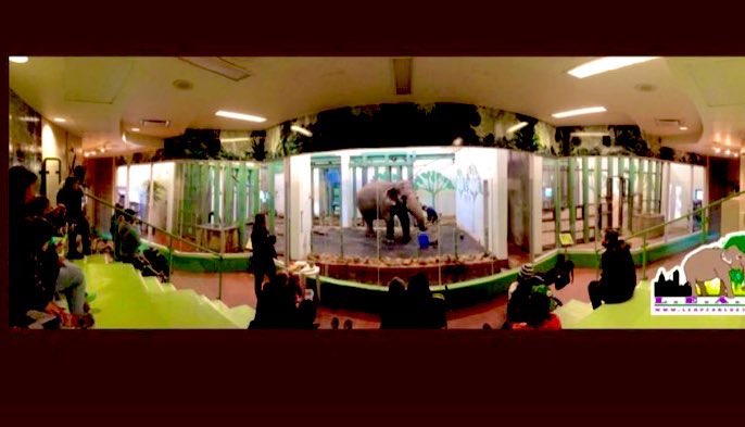 <a href="/CIFAR_News/">CIFAR</a> <a href="/adeelrazi/">Adeel Razi</a> <a href="/LEAPyeg/">LEAP 💜 ❤️🐘🇨🇦</a> <a href="/cubanadeanna/">Deanna young</a> <a href="/JMers91/">JMers</a> What an permanent shameful mark on this city. Zero ethics you keep intelligent animals as if a trinket in a box!
<a href="/ttsnoopy/">❤ Marite ❤</a> <a href="/julie_dutto/">Julie Dutto</a> <a href="/JulieKi53713414/">🇨🇦🐘 Edmonton Valley Zoo TORTURE$ Lucy & LIE$</a> <a href="/SusanBouchard14/">Susan Bouchard</a> <a href="/ossocool/">Tess 😻🐶 TEAM #LUCY 🐘🐘🐘</a> <a href="/Cosmicbrigade/">#T4Animals 🐘🦁🦒🐅🦊🦔🐻</a> <a href="/Suparnastar/">Suparna Sankaran</a> <a href="/torontoclimate/">Toronto Climate</a>