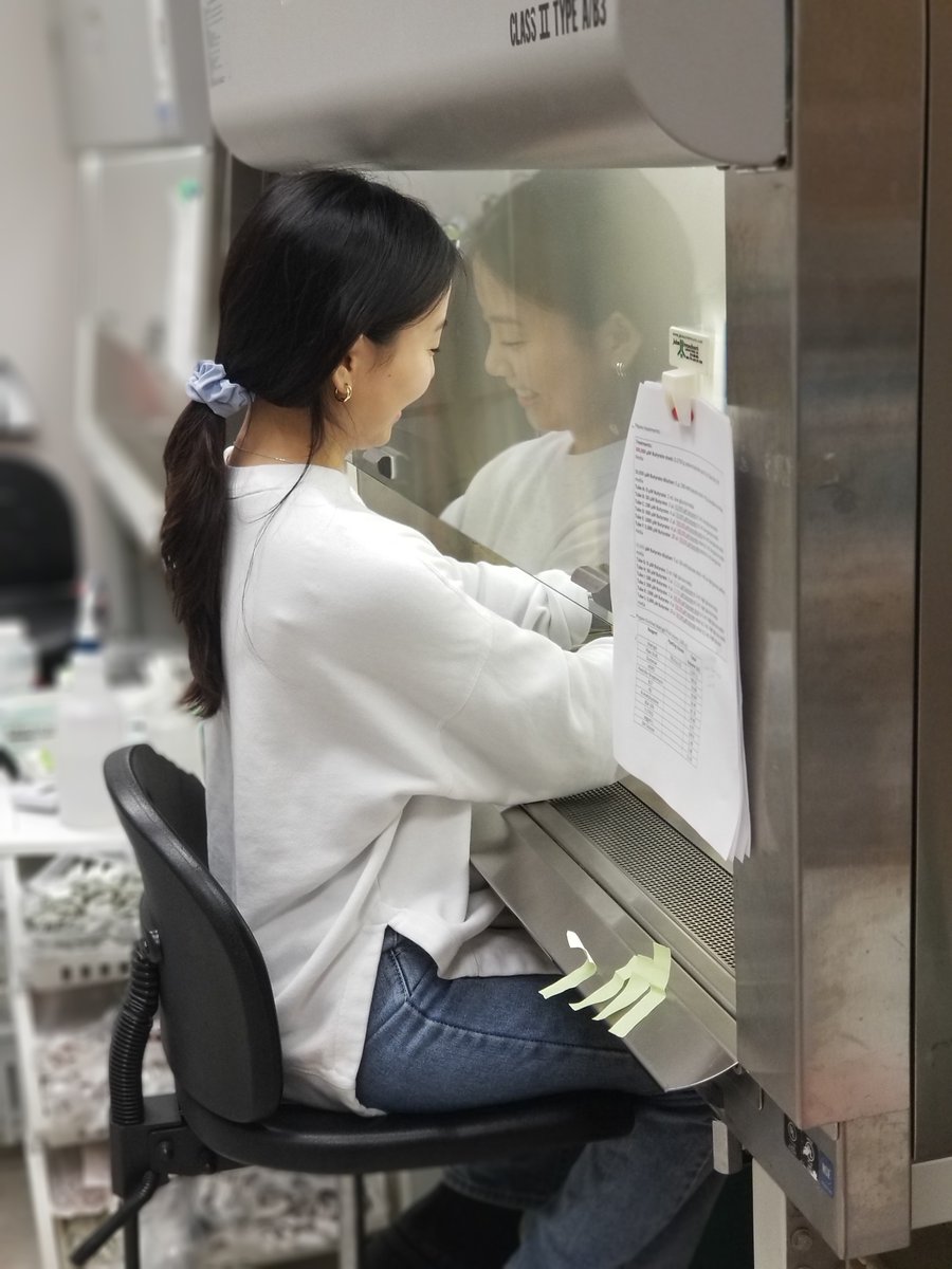 ChapkinLab's tweet photo. Our Undergraduate, Jennie Kim, getting some experience working under the hood 👩‍🔧@TAMU @AgriLife @aglifesciences @ChapkinLab https://t.co/QomjByR7S5