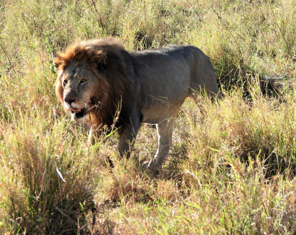 Raymond Paul Johnson on Twitter "Thriller Character Took this shot in