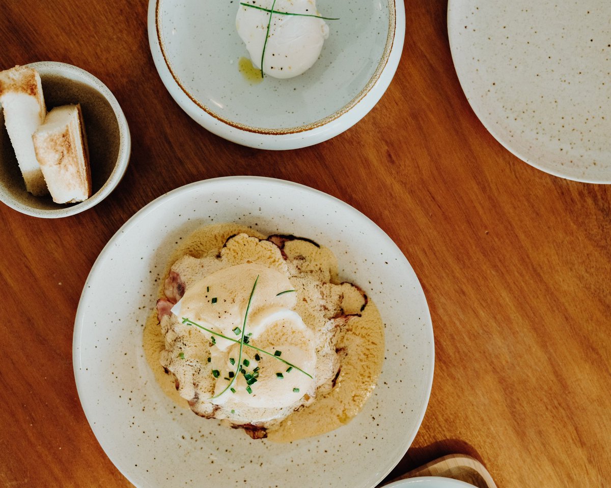 josh kobayashi tweet media