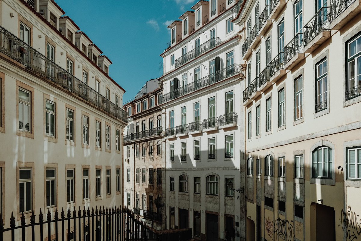 josh kobayashi tweet media