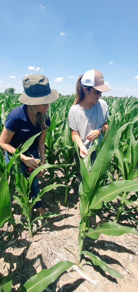 Natalia Schmithalter tweet media