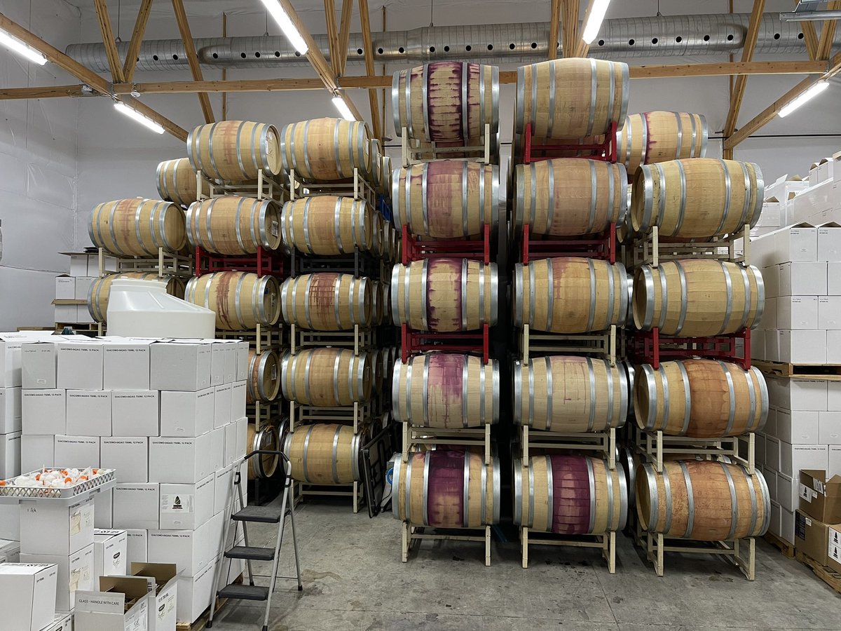 LibLakeWine's tweet photo. 2021 Left < 2022 Right. If you wanted to know how the ‘22 vintage went for everyone. @Wa_State_Wine @RedMtnAVA #nowateradded #redmtnunfiltered https://t.co/I4Ow2kAm9n