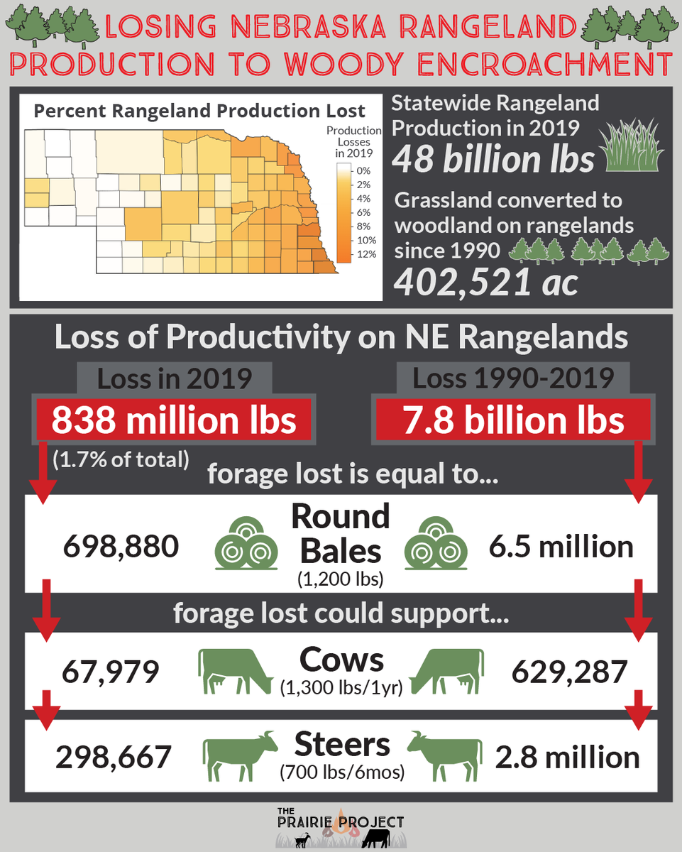 Losing Nebraska Rangeland Production to Woody Encroachment

Losses in 2019: 838 million lbs 
Forage lost equal to 698,880 round bales
Forage lost could support 67,979 cows OR 298,667 steers
wlfw.org/yieldgap/