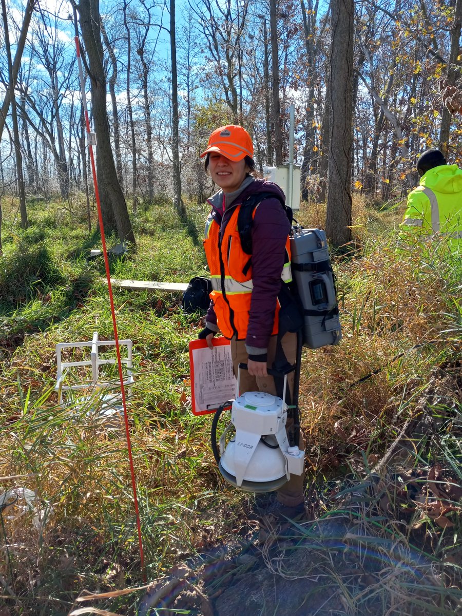 𝙅𝙤𝙗 𝙖𝙡𝙚𝙧𝙩 ‼ I am hiring a technician (tinyurl.com/mrya4wyf) to measure #carbon fluxes in #coastalwetlands and help start new field experiments. Come join our team @lakeeriecenter and @UToledo 1/2