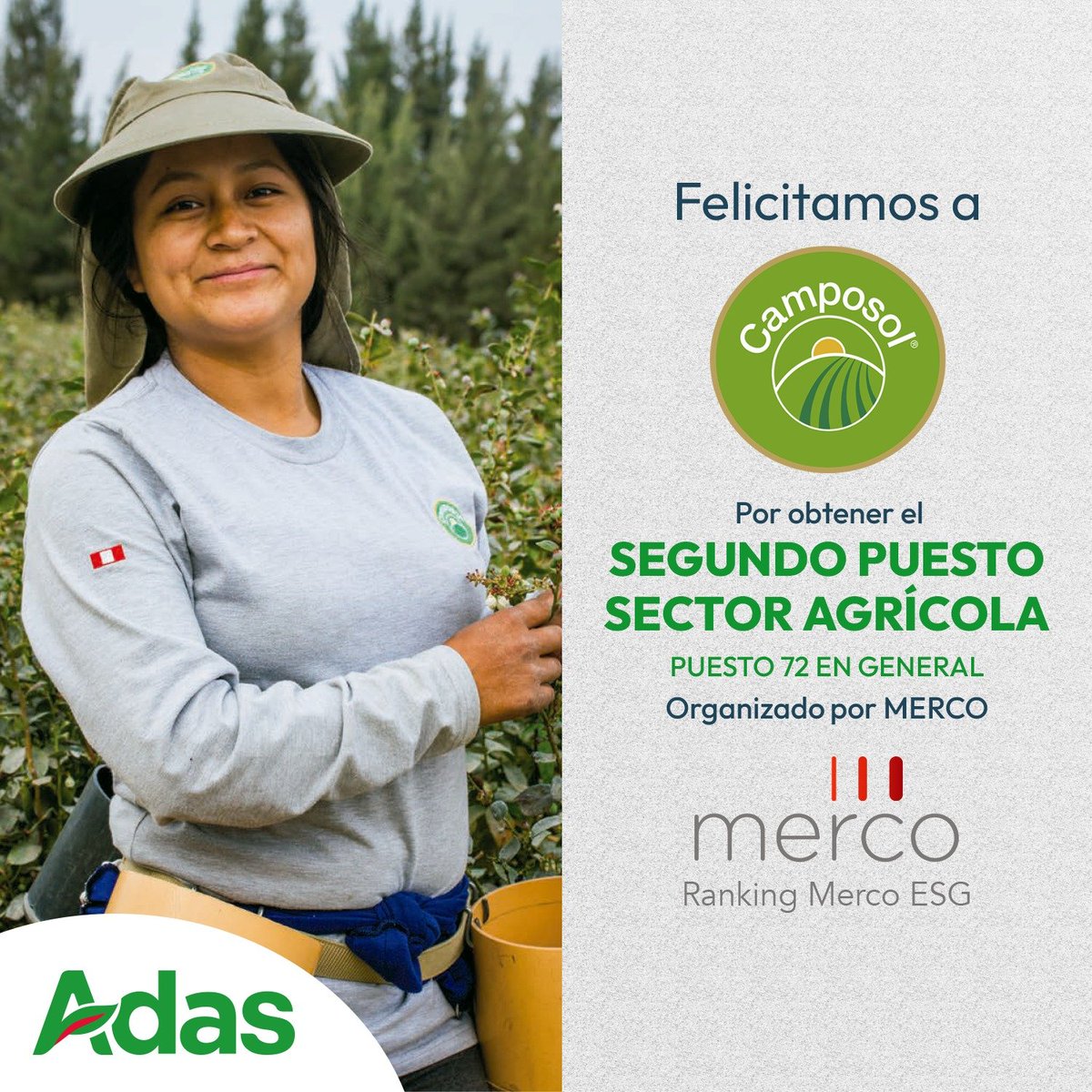 ADASPeru's tweet photo. Desde #Adas felicitamos a nuestras asociadas #danper y @CamposolCares quienes obtuvieron el primer y segundo puesto en sector agrícola respectivamente organizado por #Merco. A ellas y a todos sus colaboradores todo el éxito en su trabajo https://t.co/pMfs8Y3nHB
