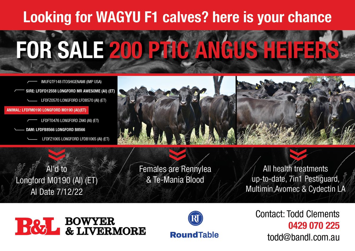 Bowyer & Livermore (@bowyerlivermore) on Twitter photo 