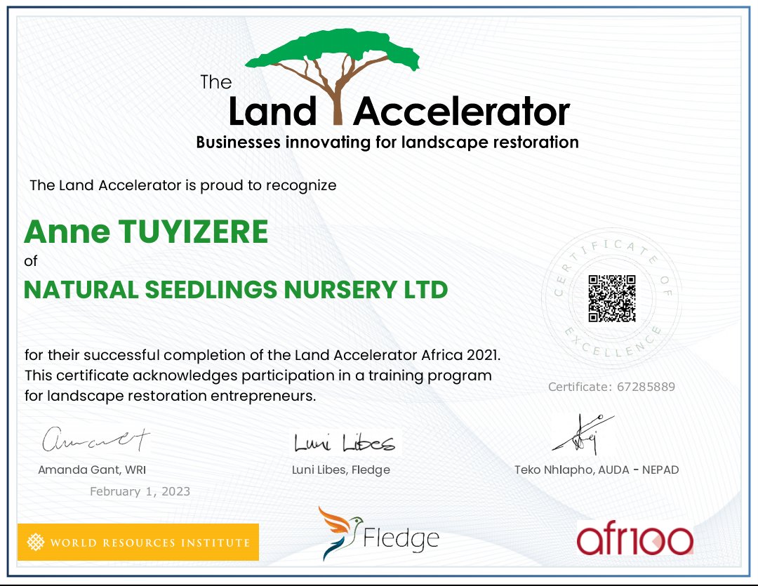 TuyizereAnne's tweet photo. Achievement unlocked🌿 Thank you very much @WRI @landaccelerator for recognizing @seedlingsltd🍃 https://t.co/AftXtK5LdE