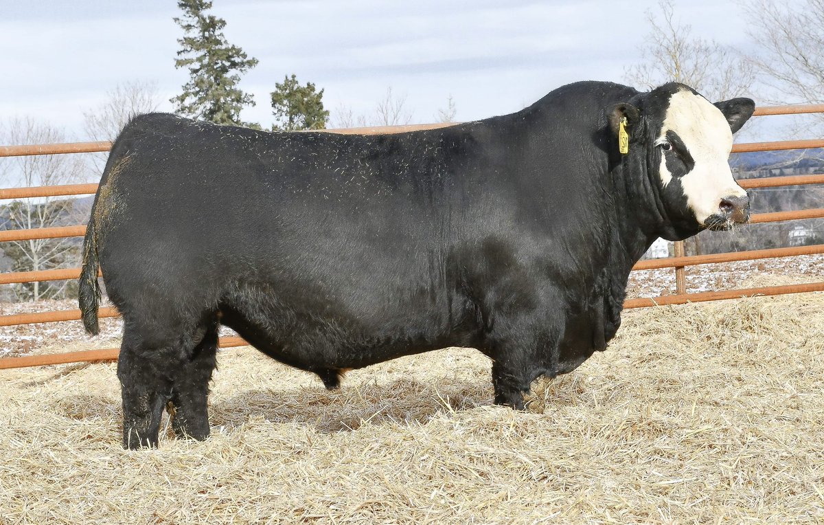 Robert Cooper tweet media