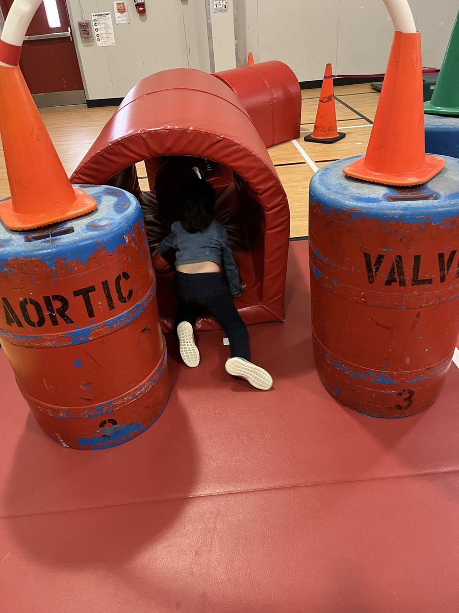livelype's tweet photo. Our @LivelyEagles learned all about the #heart this week and traveled through the #heartcourse from #iisdpe. We are heart experts now, even kinder was crushing the questions about the #heart! Parents, ask your student to explain what’s going on here. #lungs #oxygen #bethestandard https://t.co/0h8uRpnuQu