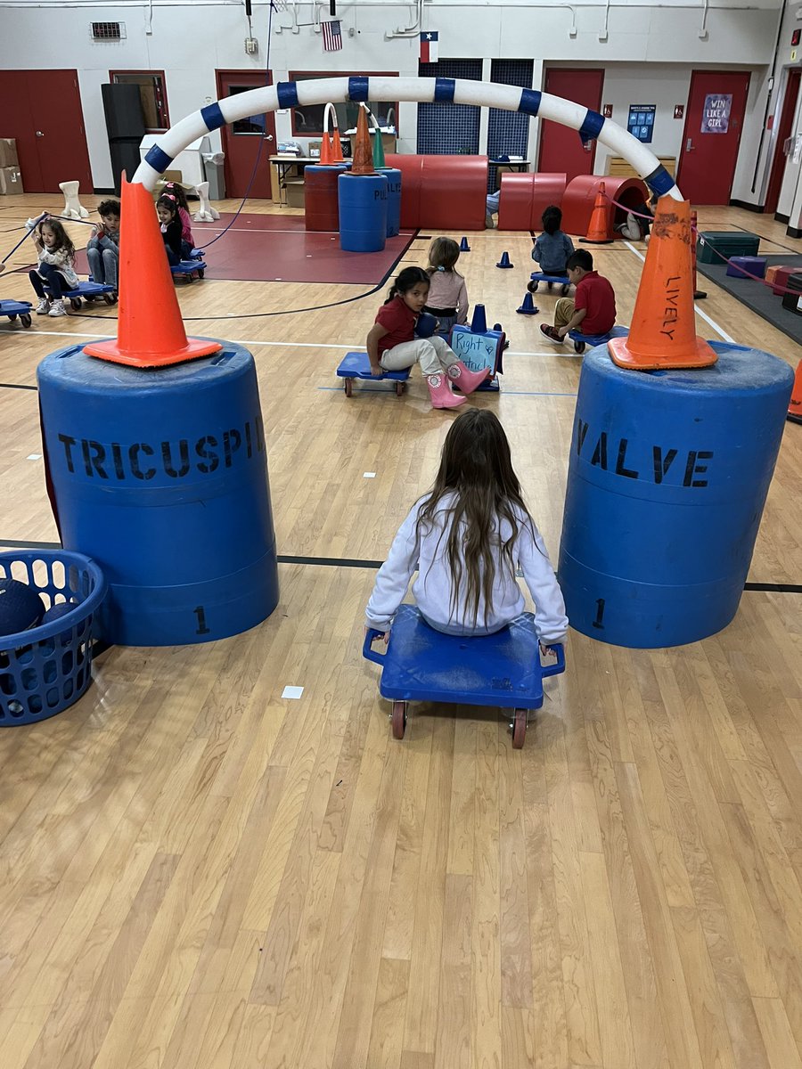 livelype's tweet photo. Our @LivelyEagles learned all about the #heart this week and traveled through the #heartcourse from #iisdpe. We are heart experts now, even kinder was crushing the questions about the #heart! Parents, ask your student to explain what’s going on here. #lungs #oxygen #bethestandard https://t.co/0h8uRpnuQu