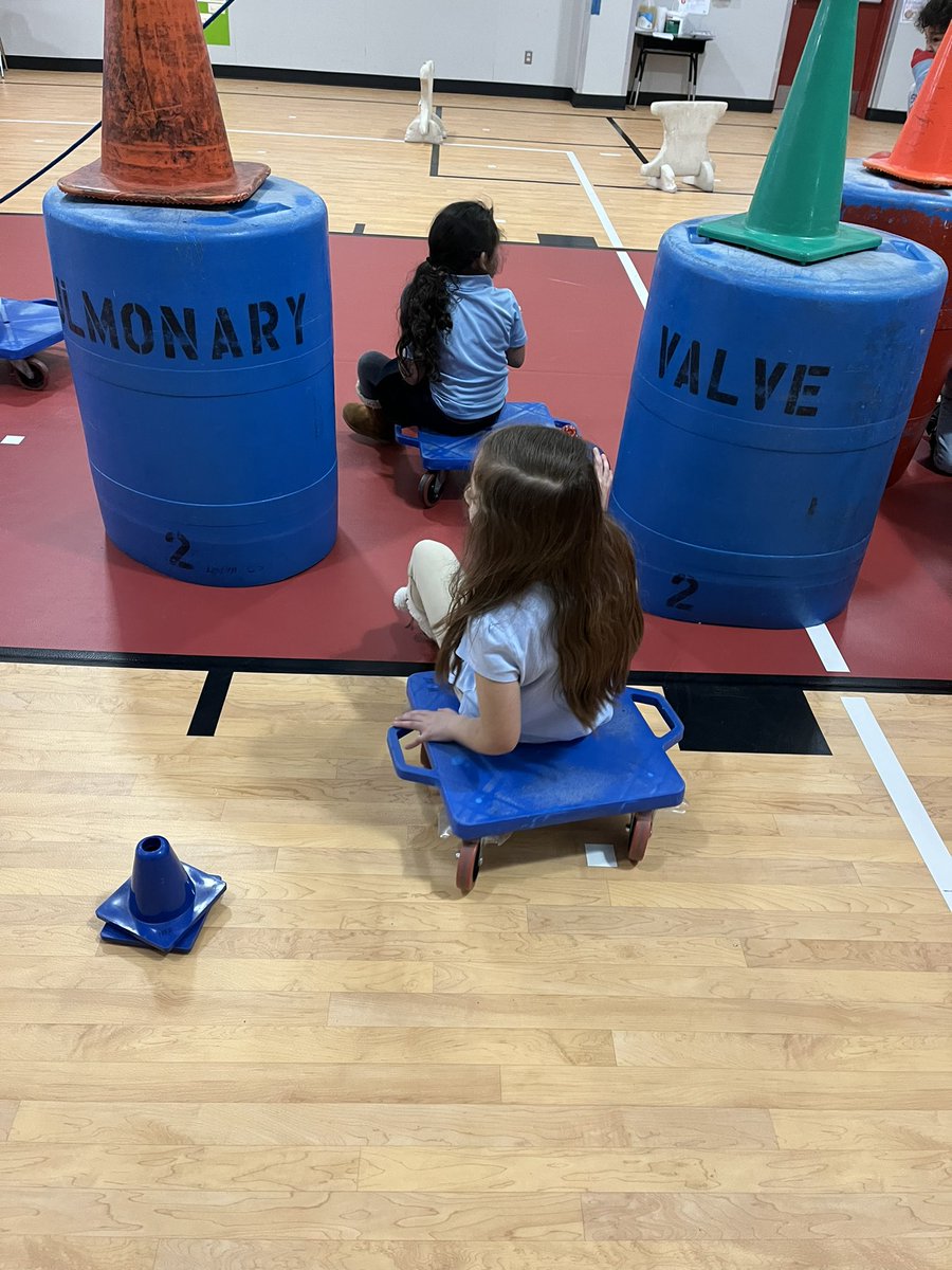 livelype's tweet photo. Our @LivelyEagles learned all about the #heart this week and traveled through the #heartcourse from #iisdpe. We are heart experts now, even kinder was crushing the questions about the #heart! Parents, ask your student to explain what’s going on here. #lungs #oxygen #bethestandard https://t.co/0h8uRpnuQu