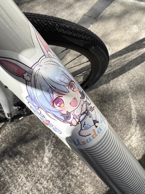 自転車チェーンから車体まで綺麗にしたぺこはらぺこー 