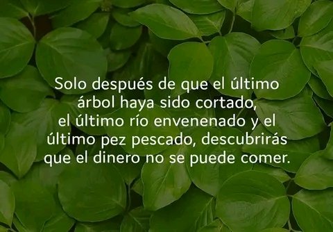 La salud de nuestros bosques de conjunto con su biodiversidad son esenciales para un futuro mejor 
#Agroecologia 
<a href="/Eidy97661881/">ANAP ESPIRITUANA</a> 
<a href="/ArmandoANAP/">Armando Hernández Romero</a> 
<a href="/CabreraYonelsi/">Yonelsi Cárdenas Cabrera</a> 
<a href="/LuisJav61536216/">Luis Javier Gonzalez Hernandez</a> 
<a href="/YainielAlvarez/">Yainiel Rodríguez Álvarez</a> 
<a href="/YaumaryPerez/">Yaumary González Pérez M/B #AnapSanctiSpíritus</a>