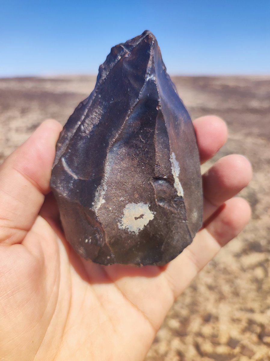 Another fieldwork day in Nejd #oman ... Nubian/Muddayans for 3D scans + back to stratified site TH.584 <a href="/OmanMHT/">وزارة التراث والسياحة - سلطنة عُمان</a> <a href="/SMU/">SMU</a> <a href="/ICArEHB/">ICArEHB</a> <a href="/RoninInstitute/">Ronin Institute</a> <a href="/aru_praha/">Archeologický ústav</a> <a href="/ARUBrno/">Archeologický ústav AV ČR, Brno, v. v. i.</a>