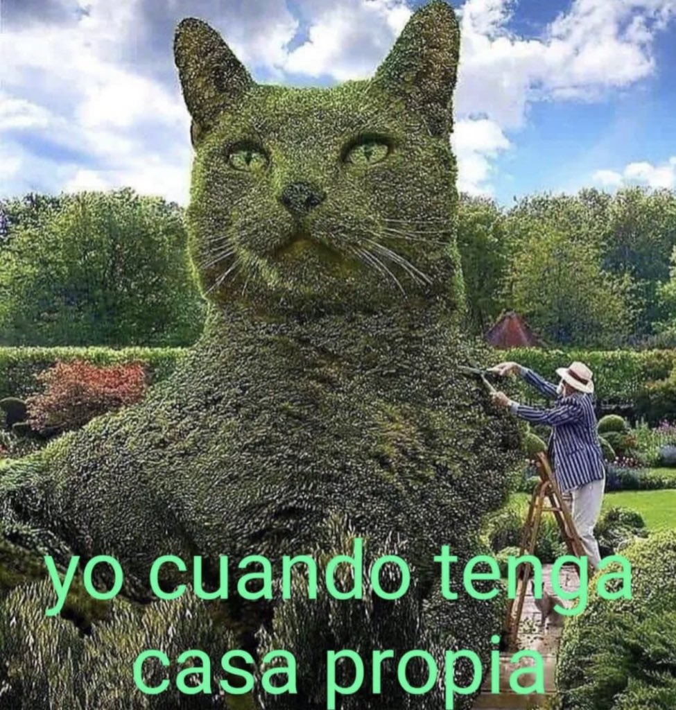 sparks (@rosemaryyy23) on Twitter photo 