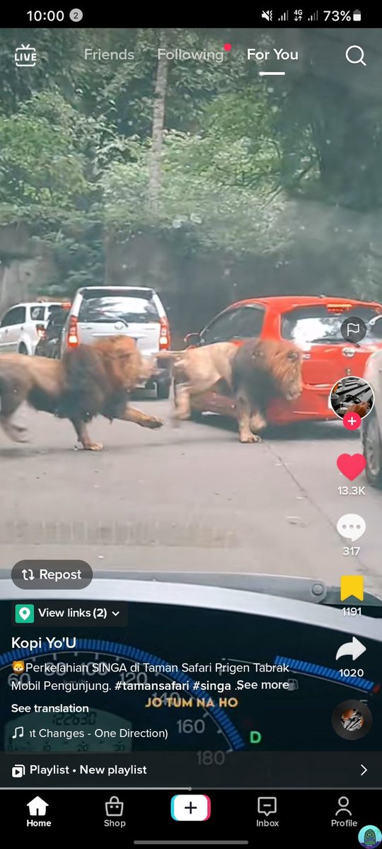 tanyakanrl's tweet image. 💚 tetangga kalo nanya
🧔‍♂️: mobilnya kenapa penyot pak?
👨: ditabrak singa
🧔‍♂️: ah bapak bercanda aja 

vid direp