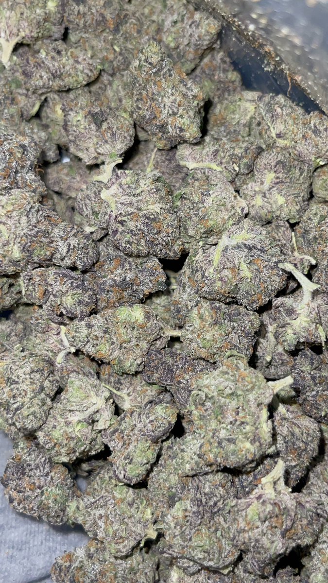 blackhippyfarms's tweet photo. Cereal Runtz &amp; Galaxy 41 😤🥵😤 https://t.co/RiZmjCNiND