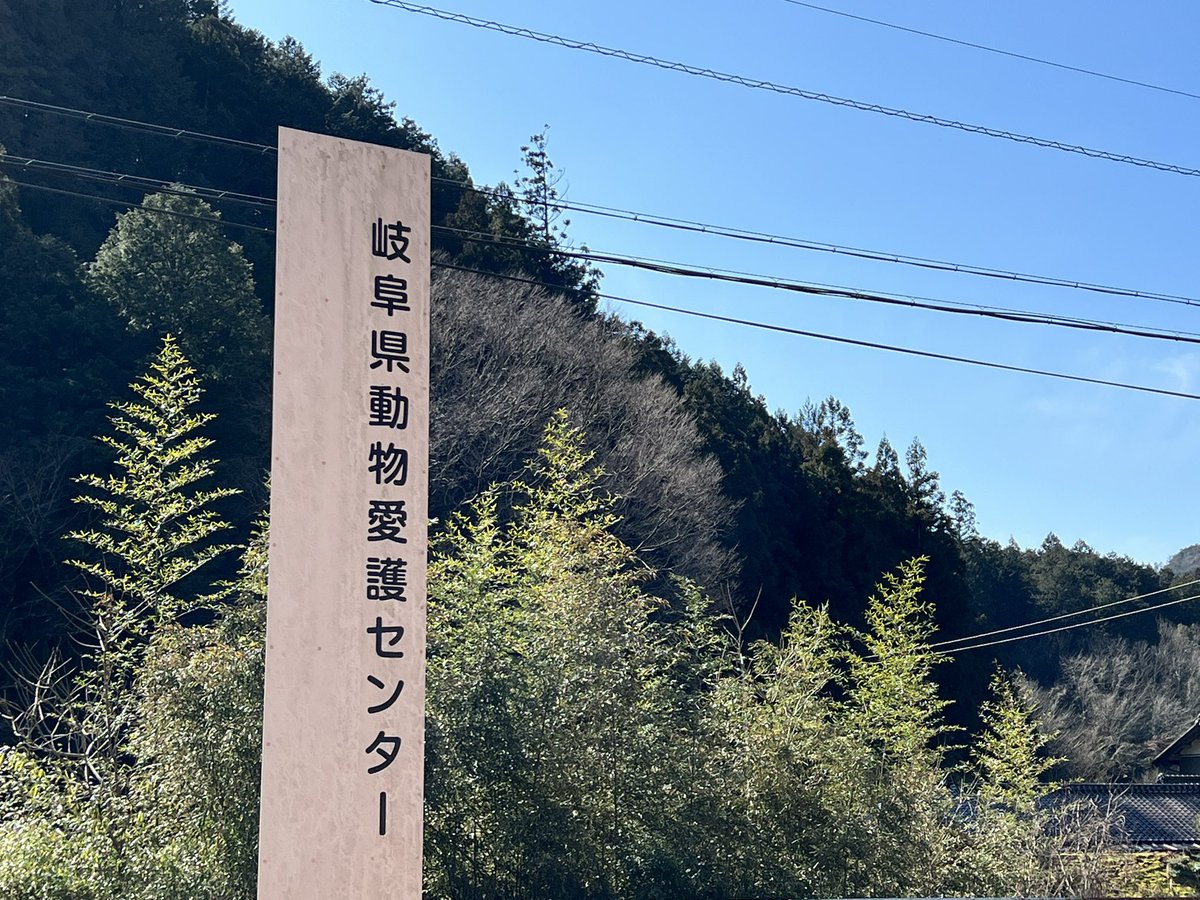 しらすを引き取らせてもらった岐阜県動物愛護センターさんに、いぬ・ねこヘルプ手帳を計150冊寄付させていただきました🐈🐾
本日以降、この施設から里親になられる方に無料で配布させていただきます😊

動物と暮らし始める最初の日に、ヘルプ手帳を選べる環境になれたらいいなと思ってます😌 