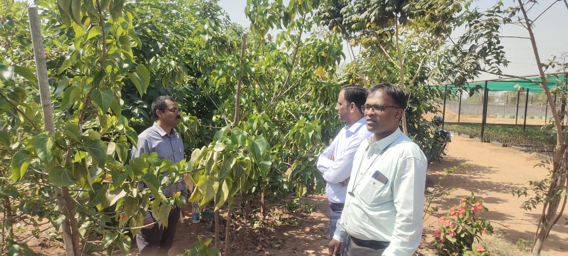MC_Kyathanpally's tweet photo. Inspected municipal nursery #TKHH #greencity #nursery @KTRBRS @arvindkumar_ias @cdmatelangana @Collector_MNCL @AclbMncl @balkasumantrs @RDMAwarangal https://t.co/fZpe8zmjQ0