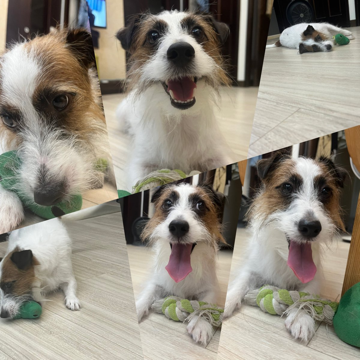 CCollectKards tweet media