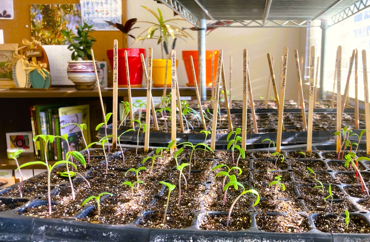 university-of-the-pacific-on-twitter-the-robb-garden-is-getting-a