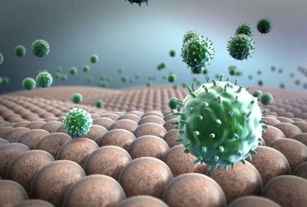 NootBro on Twitter "The anticovid dream team list Nattokinase