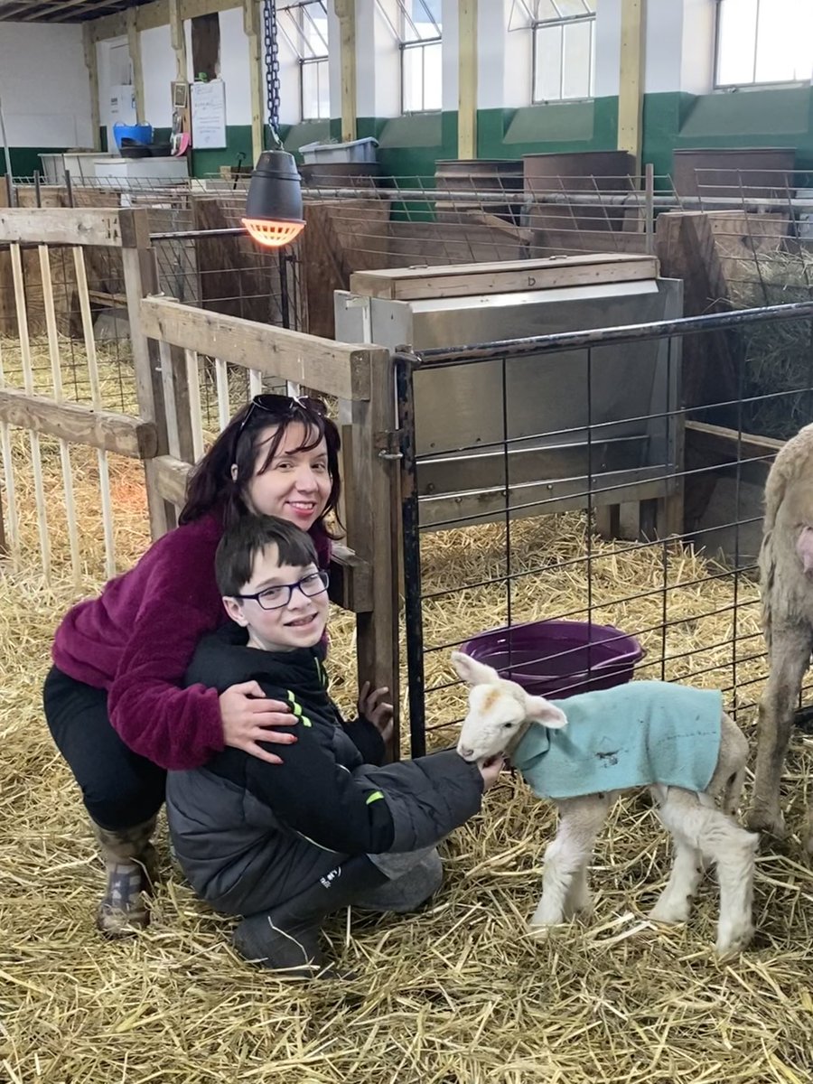 DoingDrugsSucks's tweet photo. So proud of my son for taking such good care of the sheep and goats on the farm. A lot of sheep are giving birth now so it’s a busy time on the farm with lots of extra work. Stay tuned his sheep is due next week she’s having triplets! He’ll be helping with the delivery! https://t.co/5W38xGGeUK