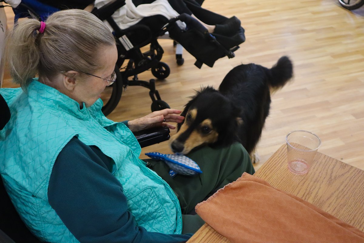 Sam and 'Chief' meeting Louis Brier Home & Hospital Residents for a Dog Therapy visit. Both are coming back next Tuesday morning to visit our other units, so stay tuned! 
#bctra #therapeuticrecreationmonth #recreationtherapy #therapeuticrecreation