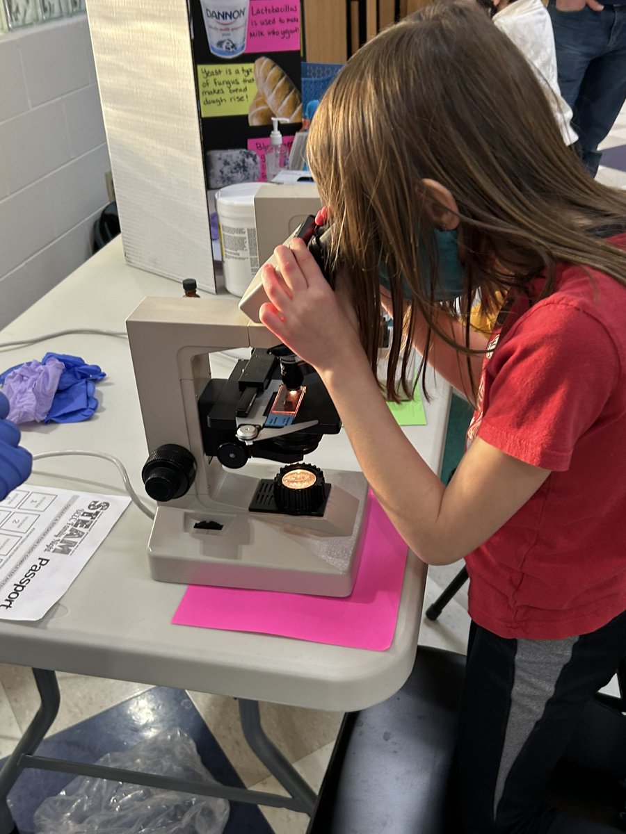 Brooke Stidham tweet media