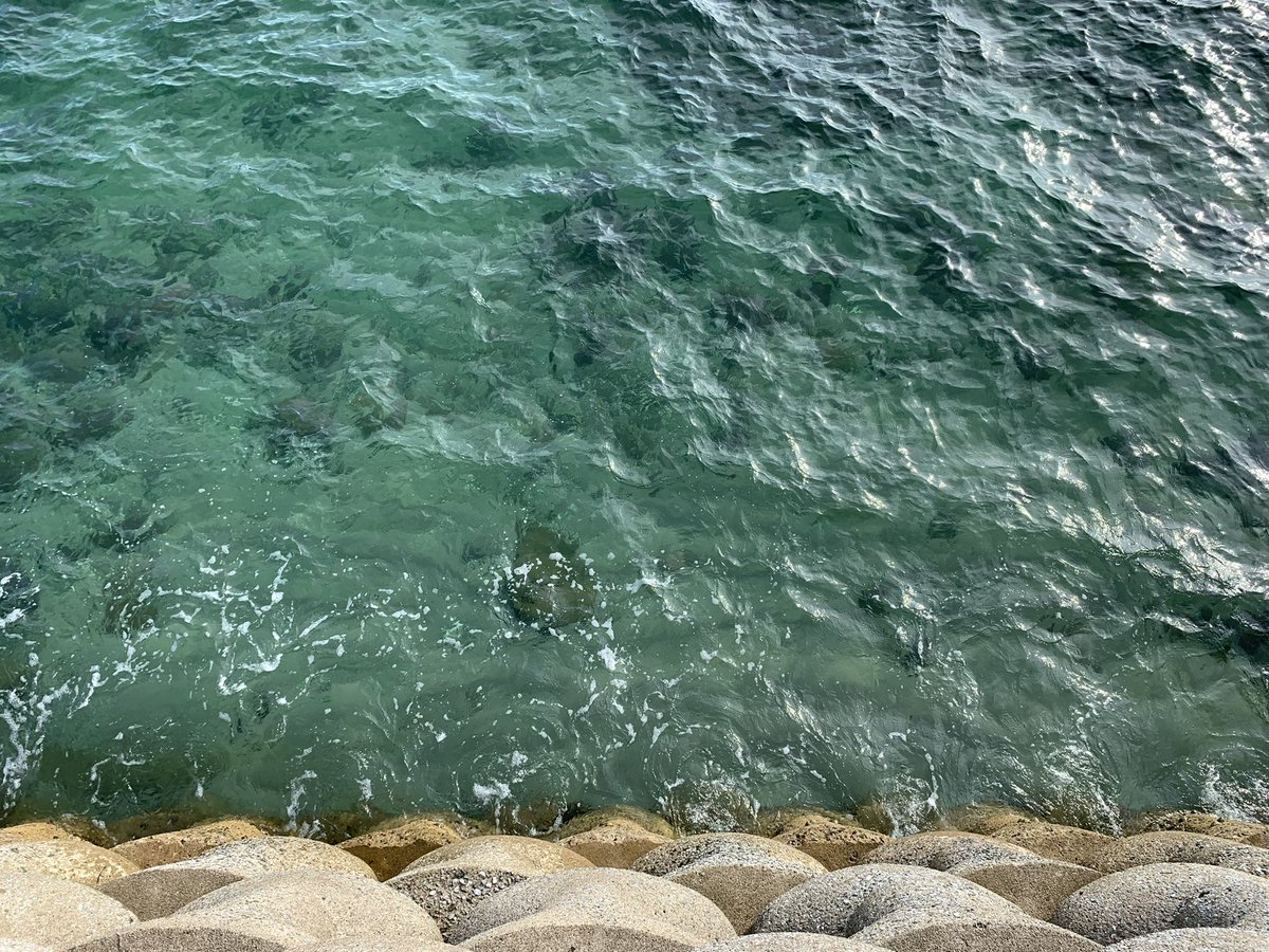 pucci´n dale tweet media