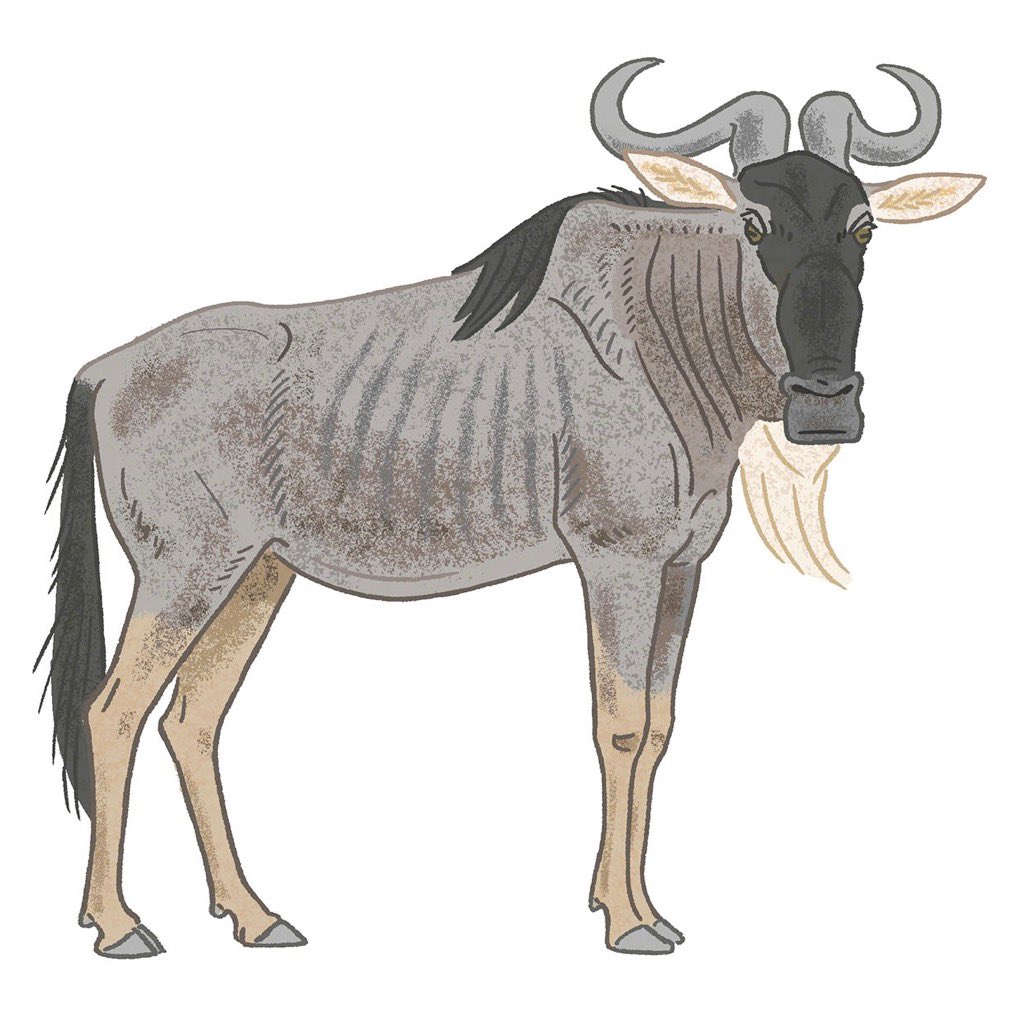 ヌー

#gnu #digitalillustration #animalillustration