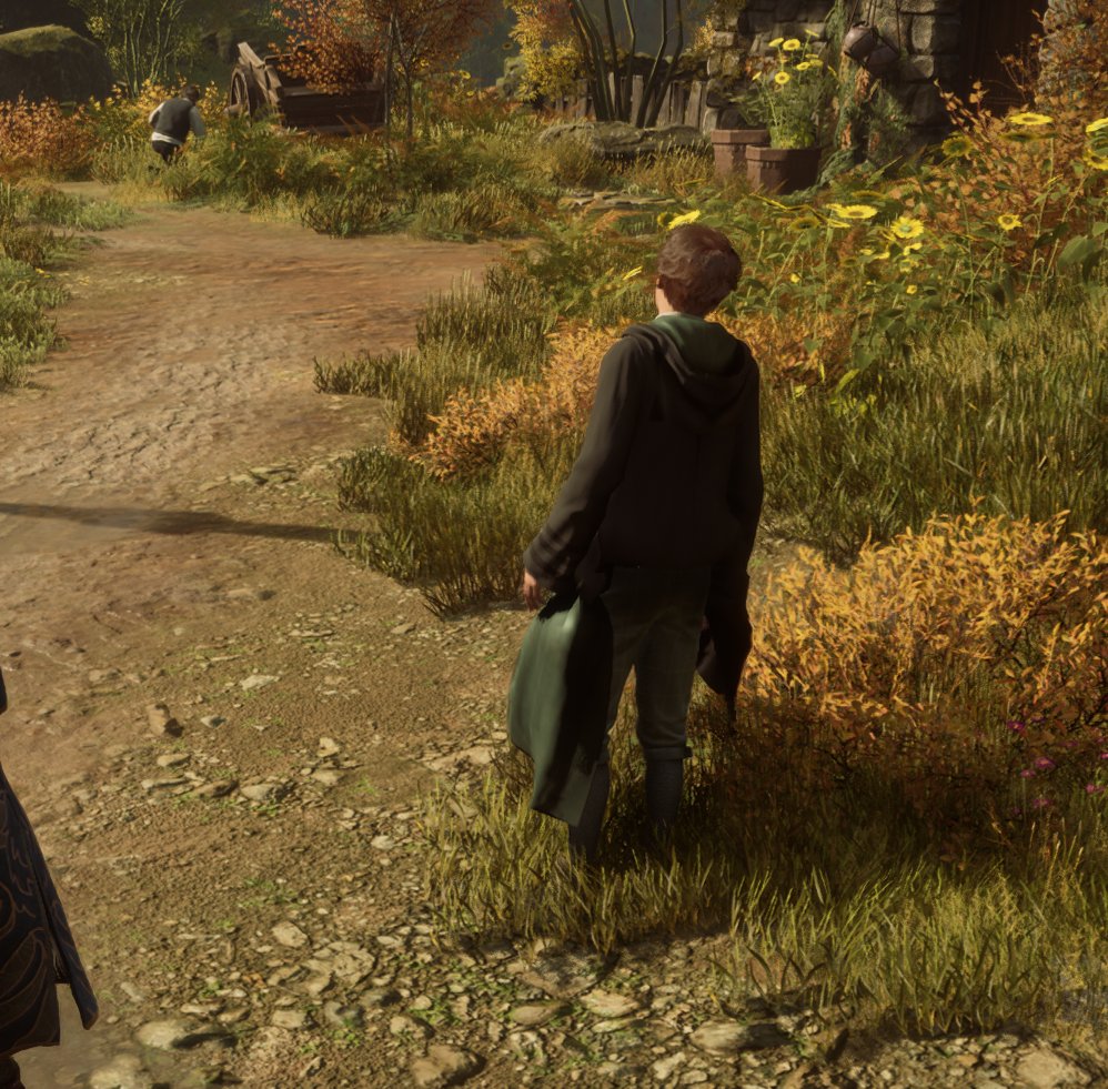 Jpont6's tweet photo. @HogwartsLegacy bug https://t.co/lW5jbVa1EE