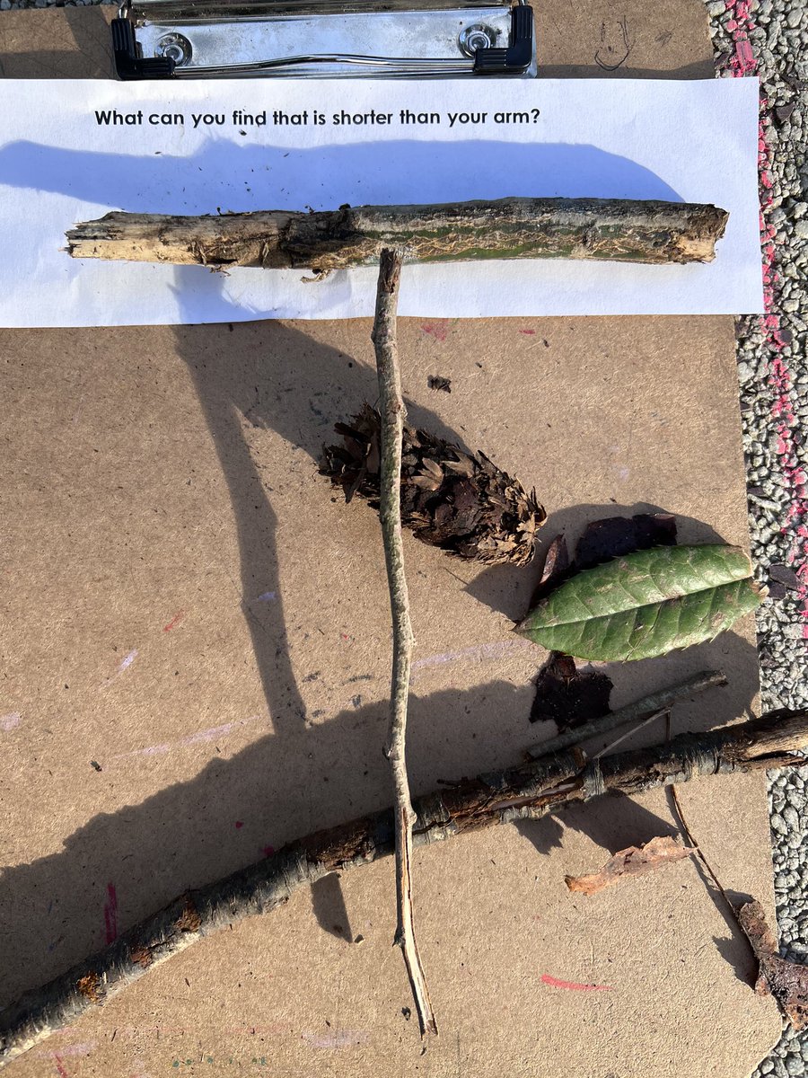 ConnaughtElem's tweet photo. #connectingwithconnaught Day 95- our Teacher Coach led us in exploring non-standard measurement in the bright sunshine, using materials we can find outside. https://t.co/Hw8Ey8yqOl