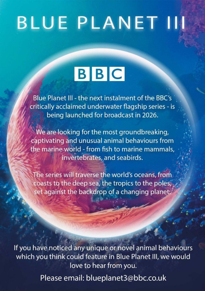 For #BluePlanetIII and a #FutureSeries dedicated entirely to the deep ocean, the Natural History Unit at #BBC is issuing a call for stories of any interesting or revolutionary discoveries from the last ~5-10 years relating to species behaviour or conservation in the #DeepSea! 1/5