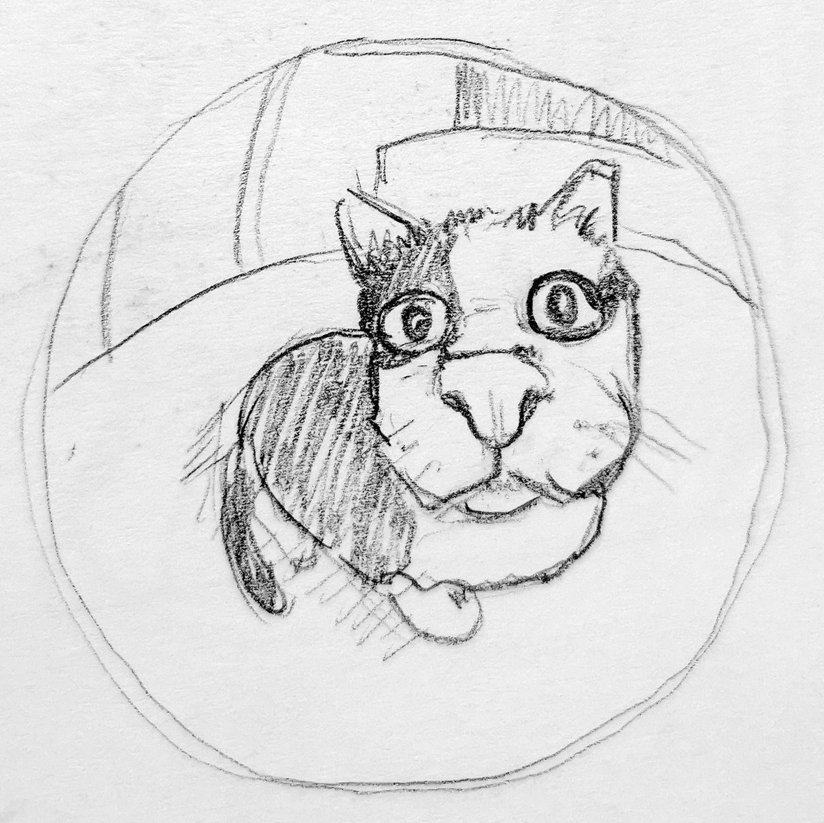 doodleuse's tweet photo. @chaoticcatpics New passion unlocked : drawing fisheye cats at 00:28 am 🐈 https://t.co/7z0oojtnLB