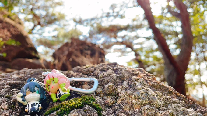 「ネコチャンとも触れ合えた楽しい山登りだったな甘露寺」 