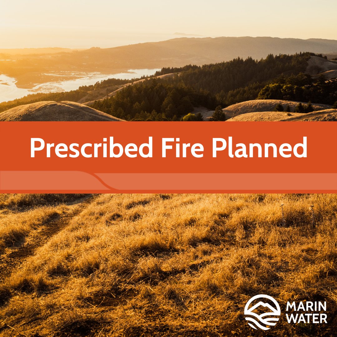 The @marincountyfire department is planning to conduct a prescribed fire operation on the Mount Tamalpais Watershed next week, weather permitting. The work is in coordination with Marin Water, which manages the watershed. A thread: