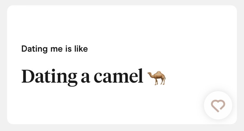 lozwick's tweet photo. Why I’m still single: don’t want to date a camel https://t.co/Gnyi3rHJs2