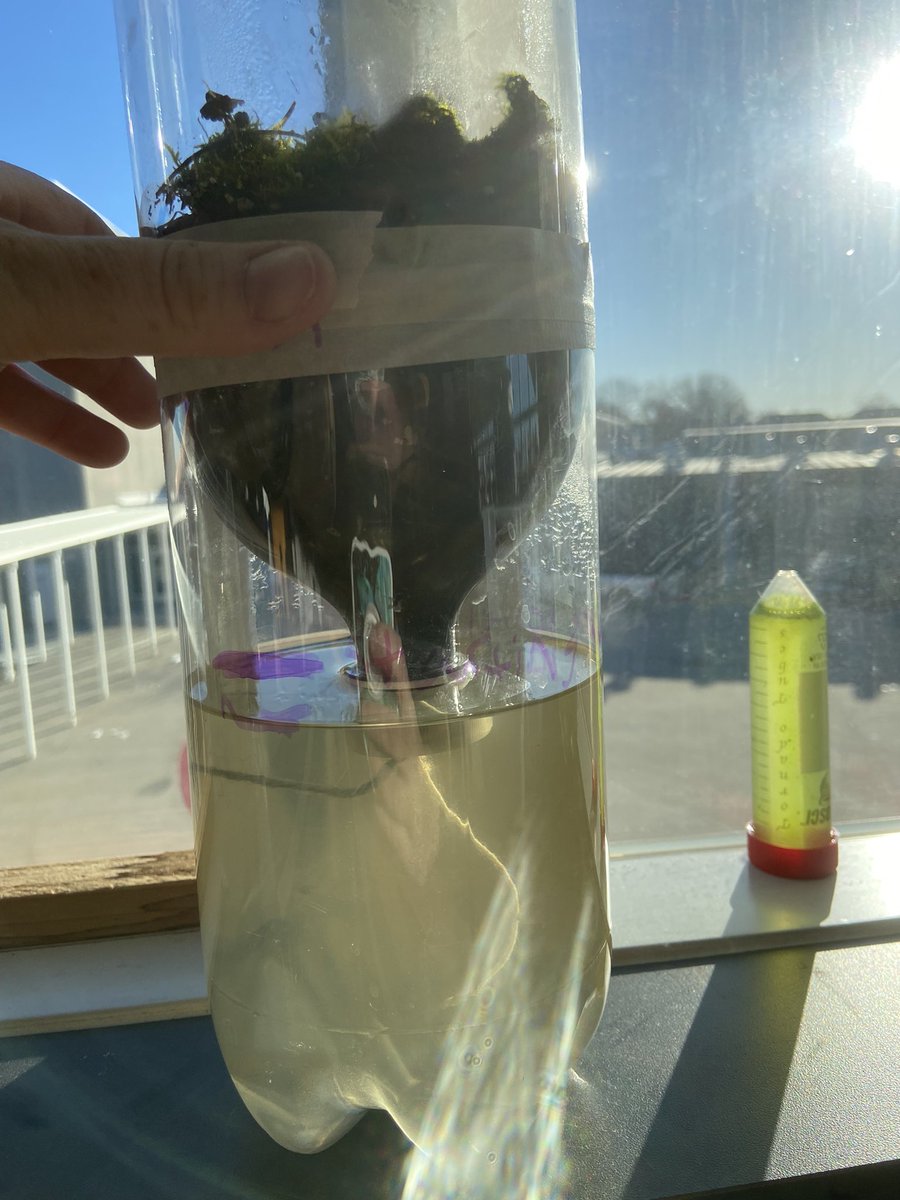 sciencerhodes's tweet photo. A student has created a second ecobottle experiment. Nothing in the water. Only minimal water to start w in the soil. Look at that water change! https://t.co/tY8a2KHiKa