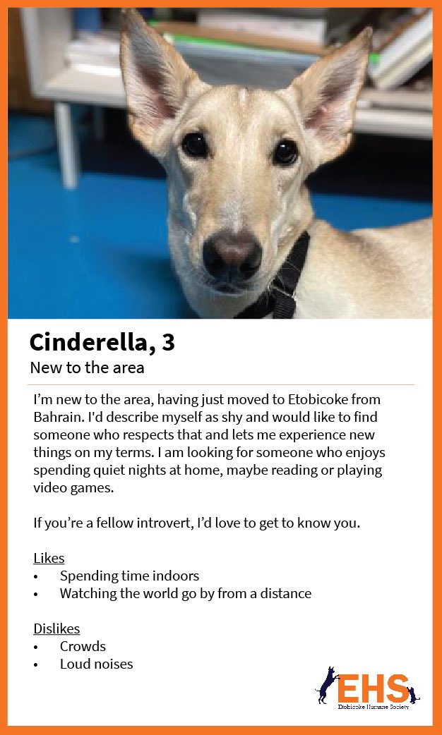 Etobicoke Humane Soc (@EtobHumaneSoc) / Twitter Etobicoke Humane Soc (@EtobHumaneSoc) / Twitter