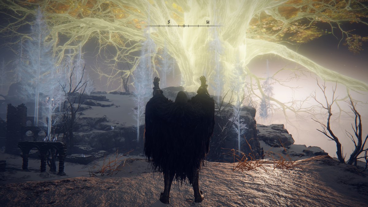 QualityChimp's tweet image. #EldenRing #PS4share