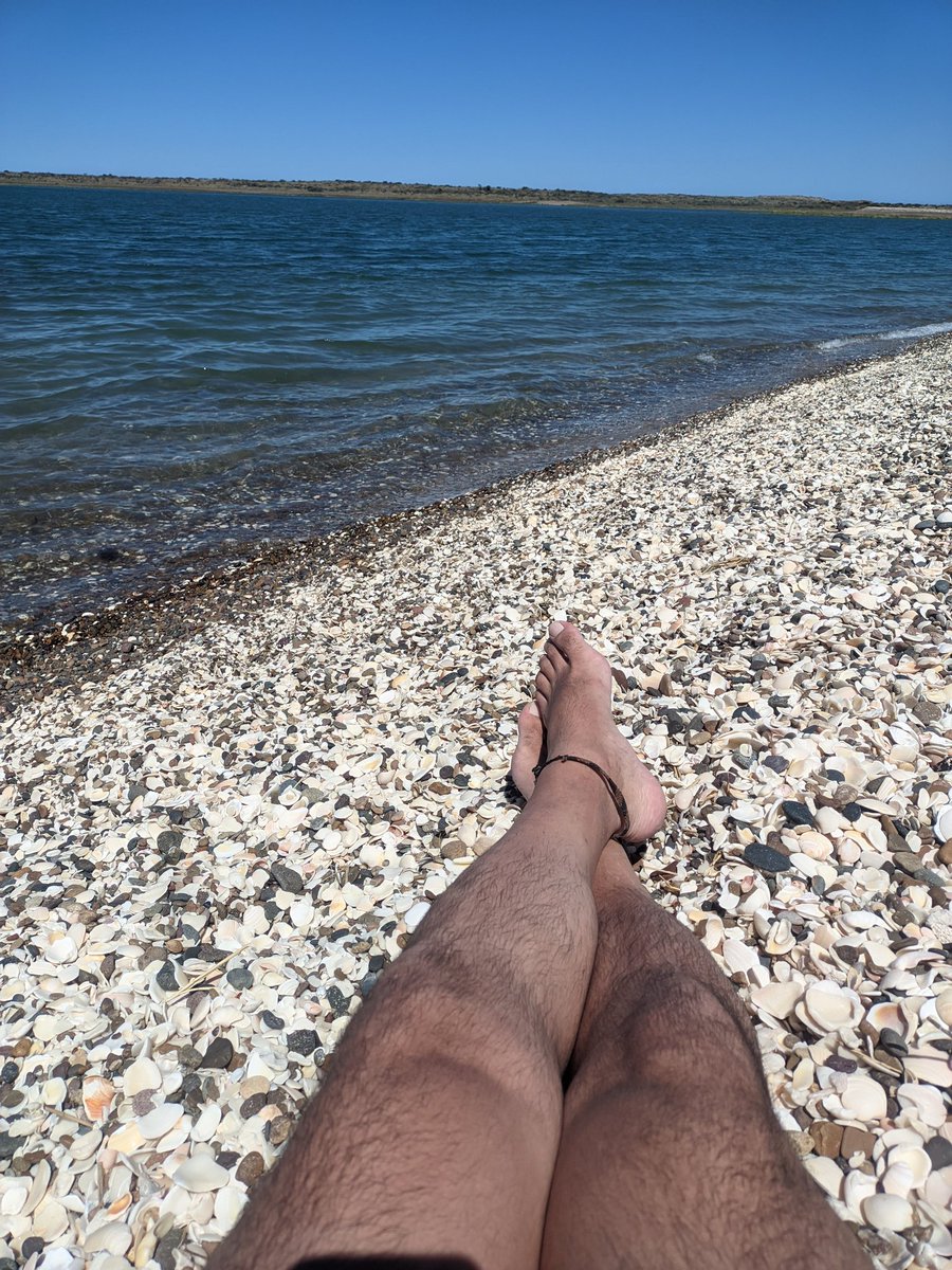 HeberBritez's tweet photo. #PuntaPerdices, el caribe Patagónico. https://t.co/CaGpuqWMlB