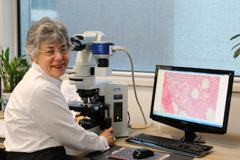 Shining the light on trailblazing work by Prof. Wendy Erber on #IDWGS! As a leading haematologist &amp; UWA professor, her team is transforming blood testing. Aiming to predict MPN progression to leukemia, they're poised to greatly impact patient outcomes. leukaemia.org.au/stories/a-tool…