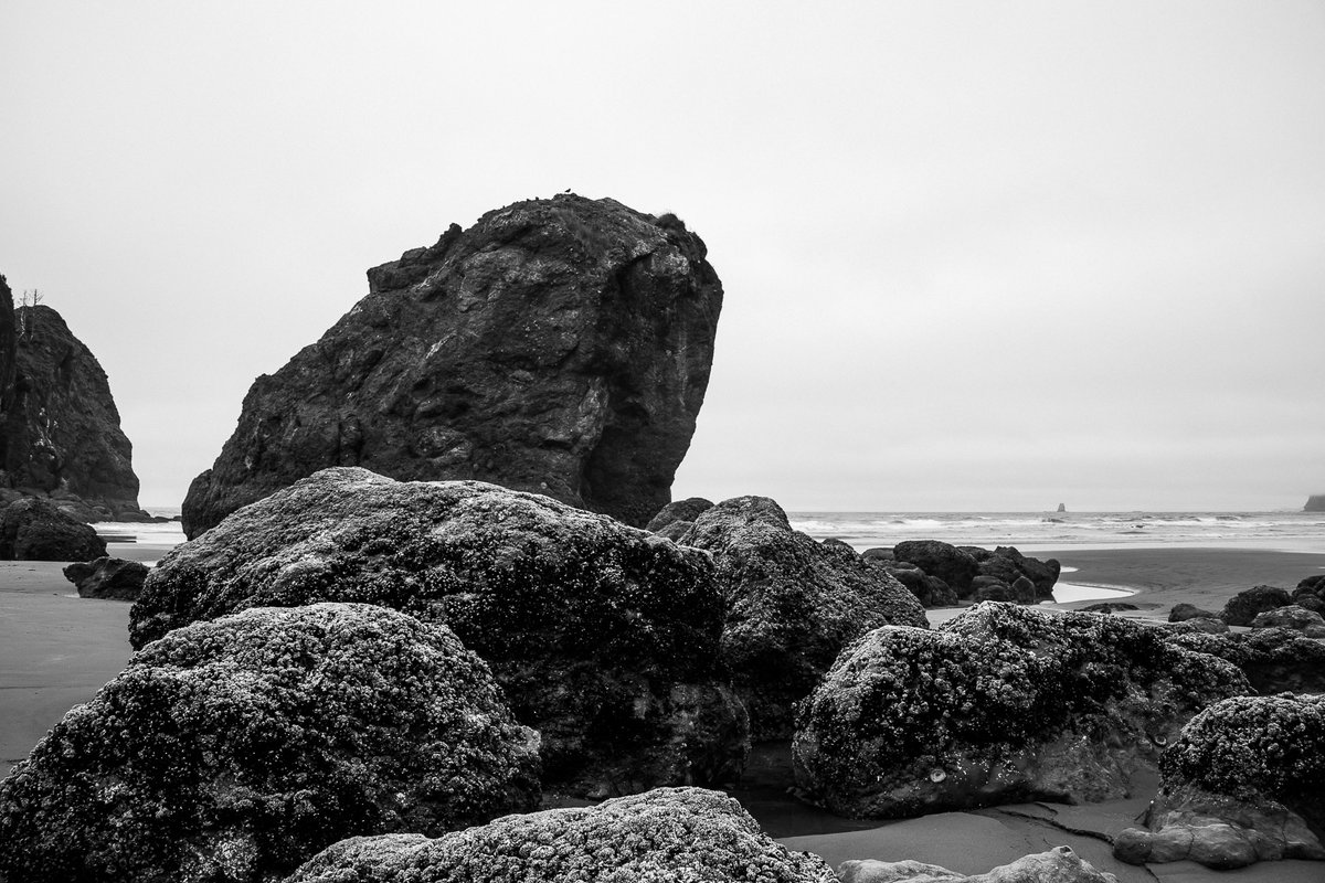 Rocks, Ruby Beach, Olympic National Park, Washington, 2013 📷 stevebisigphotography.com/warehouse/art_…

#olympicnationalpark #rubybeach #PNWdiscovered #cascadiaexplored #collectivelynorthwest #ourpnw #pacifcnorthwest #pnw #pnw_shooters #pnwadventurers #pnwadventures