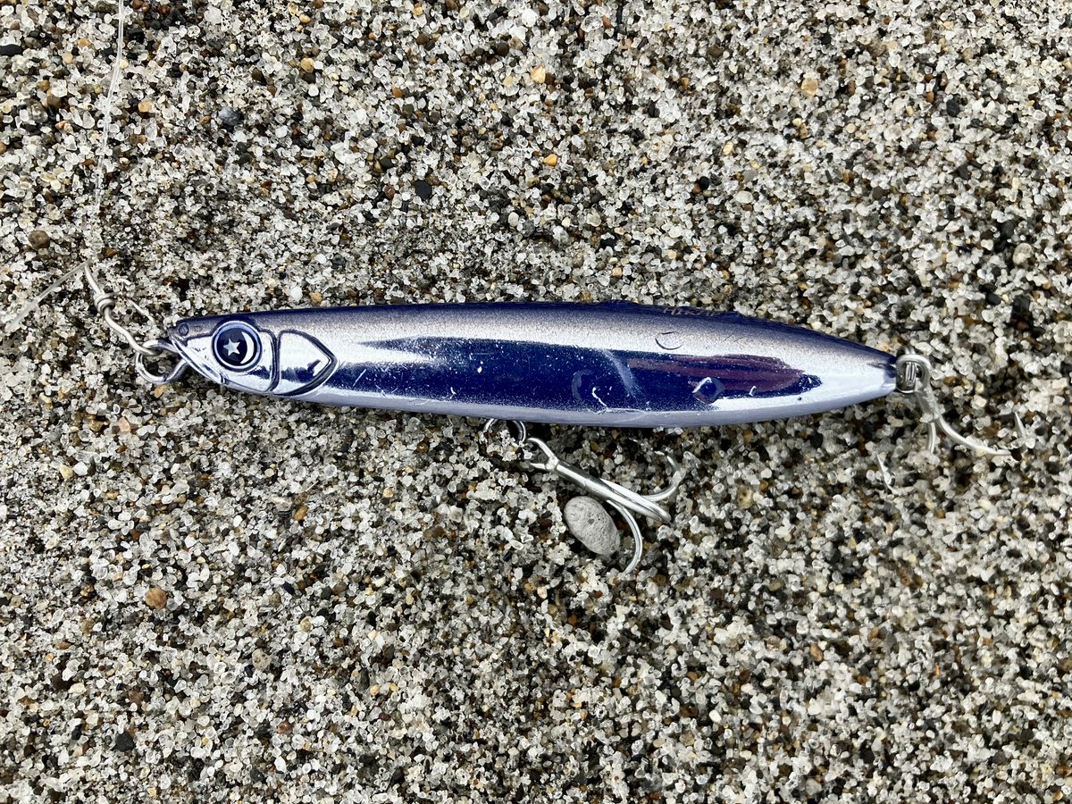 今のところ異常無し🫡