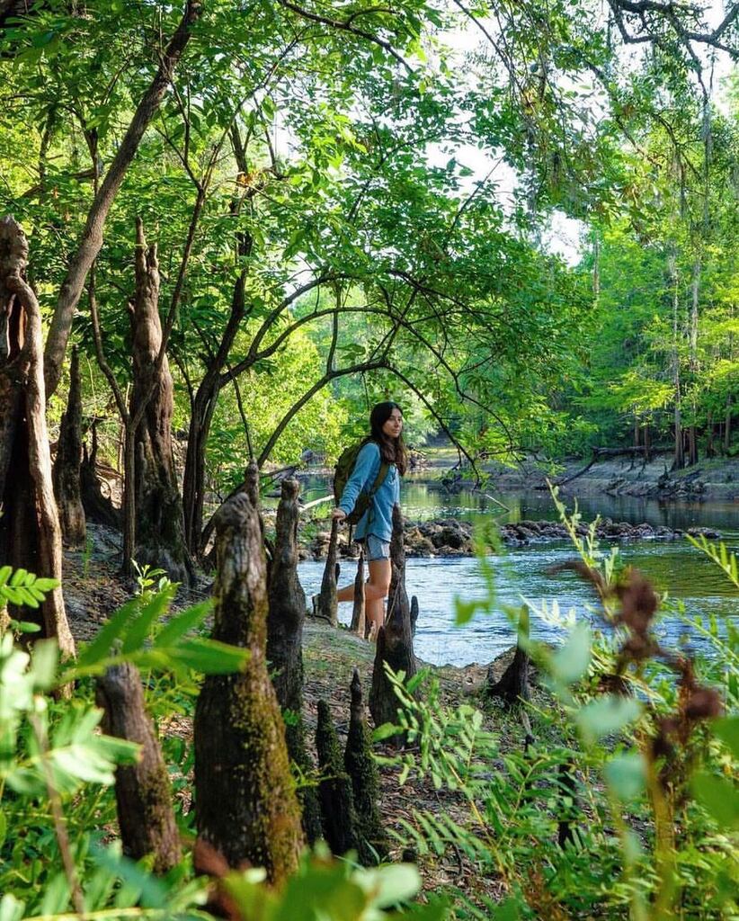 floridaexplored's tweet photo. Here’s some inspiration for your weekend adventures. Swipe right 👉 to see panoramic shot of the Withlacoochee River. Photos by @theroamingyeti and @nickin_nature Join us in exploring Florida and tag your photos with #floridaexplored to get featured 
… https://t.co/wD5K8udDYA https://t.co/0hBWkJTePr