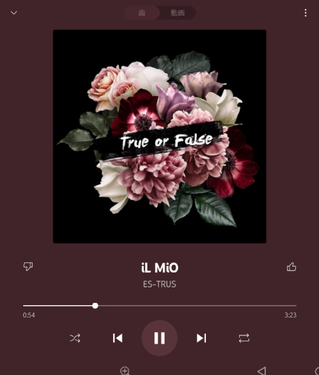 TOSHI_MUSIC_AC's tweet photo. #Nowplaying
#ESTRUS
#iLMiO https://t.co/8a9P674sD9