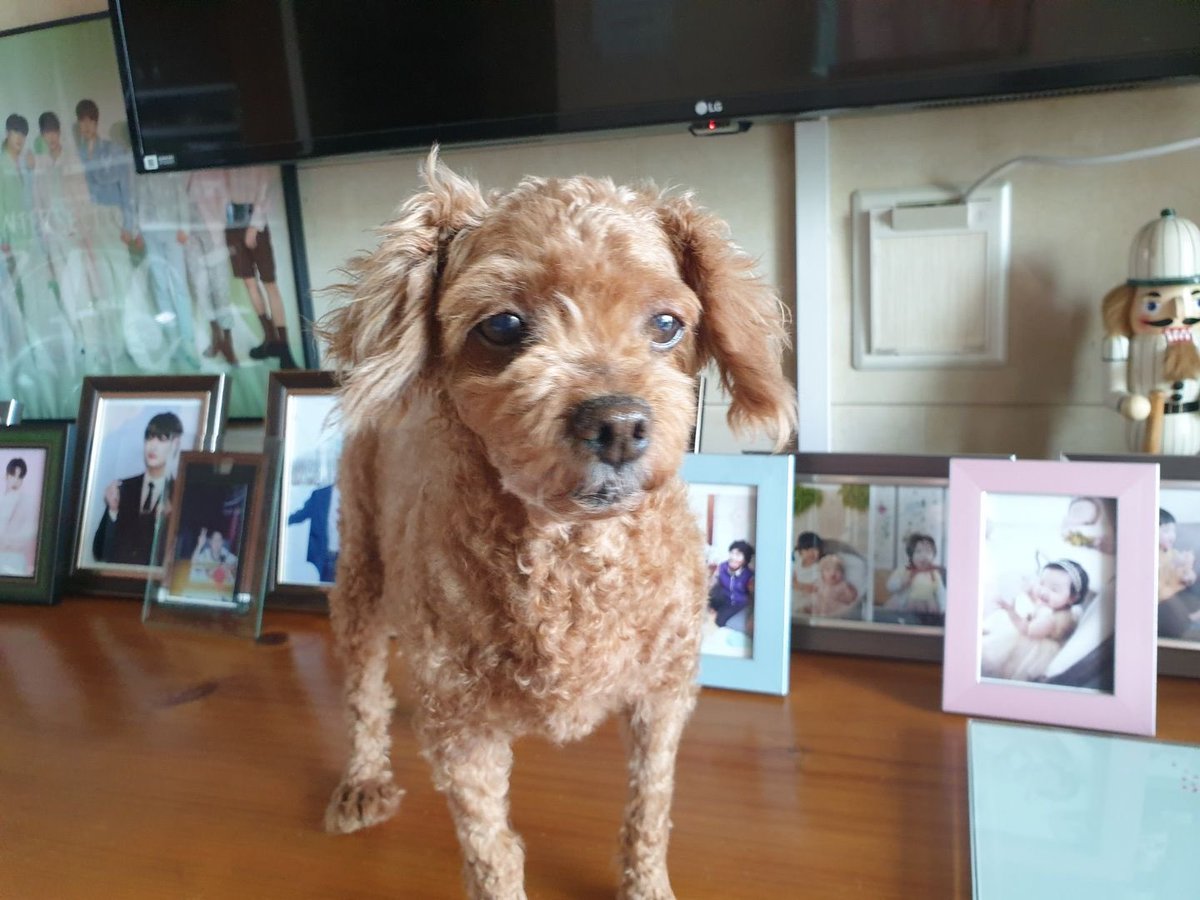 닥분 tweet media